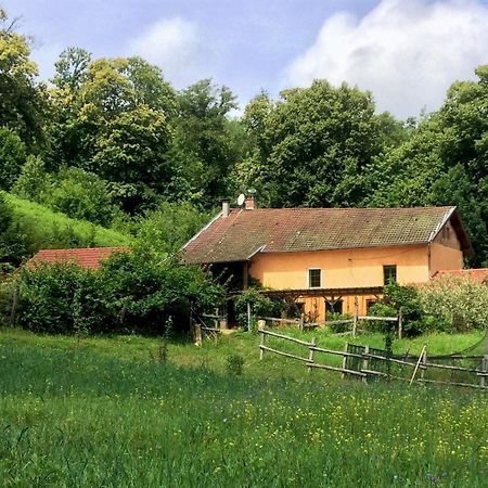 Le Mas de Planaise Saint-Jean-d'Avelanne Extérieur photo