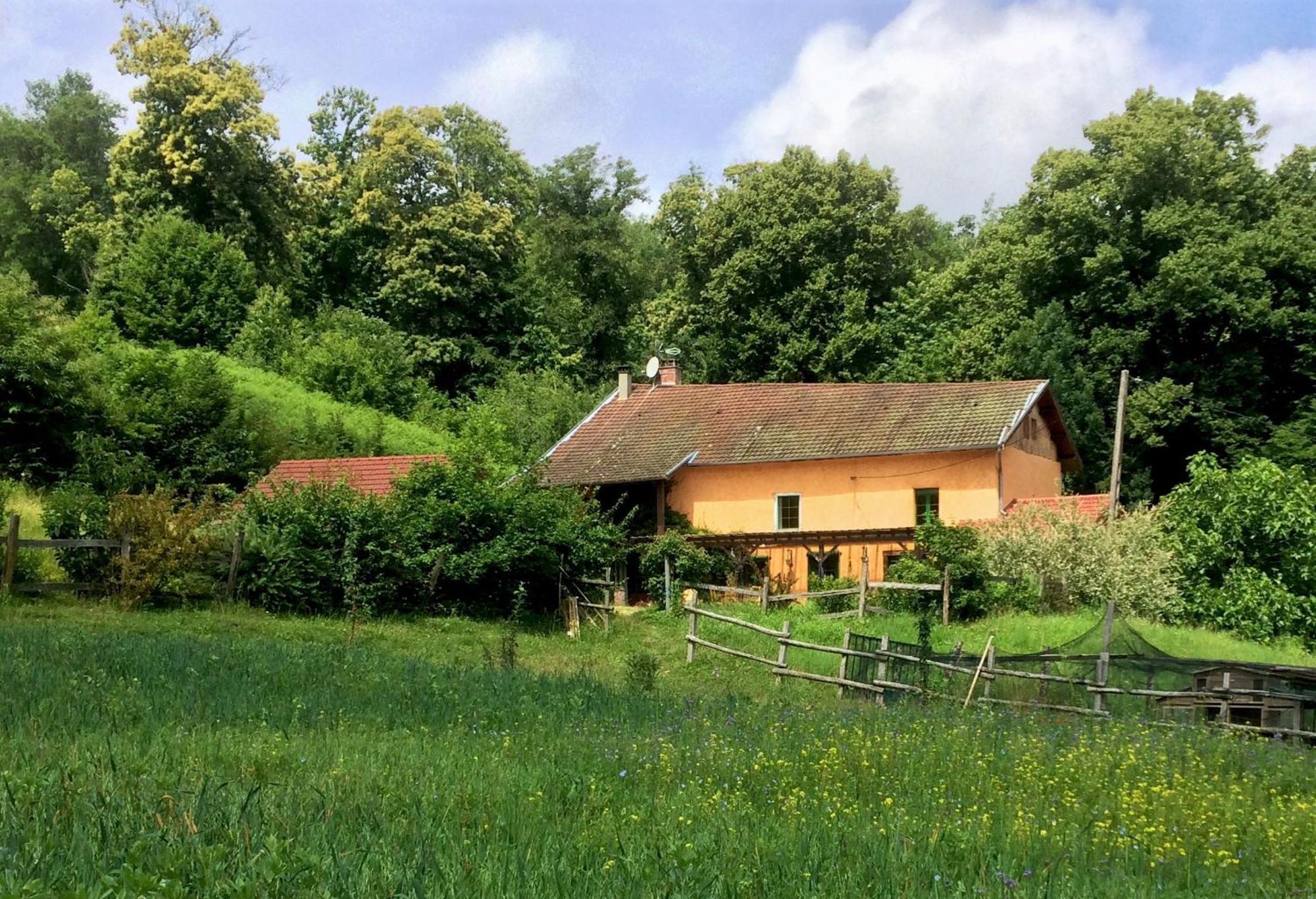 Le Mas de Planaise Saint-Jean-d'Avelanne Extérieur photo